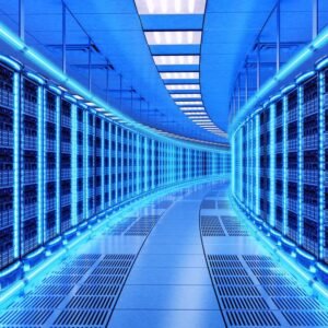 Licencia Profesional